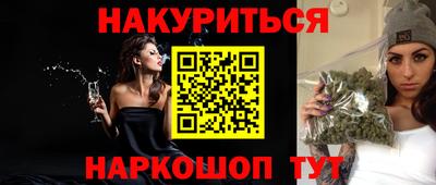 дмт Гатчина