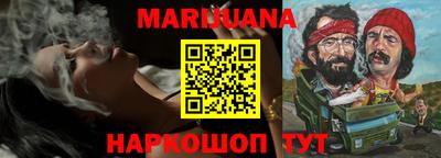 дмт Гатчина
