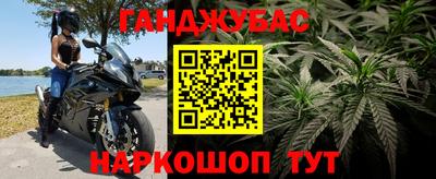 каннабис Гай