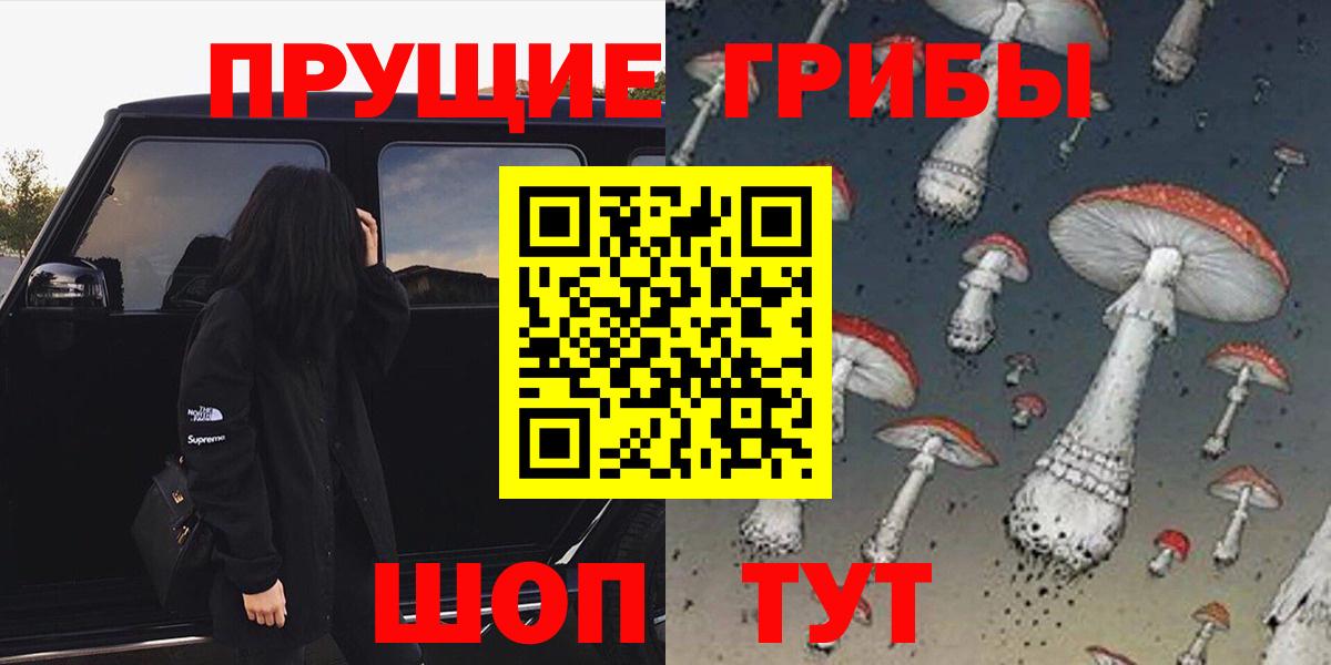 Муравленко  Галлюциногенные грибы Cubensis  Вход с VPN 